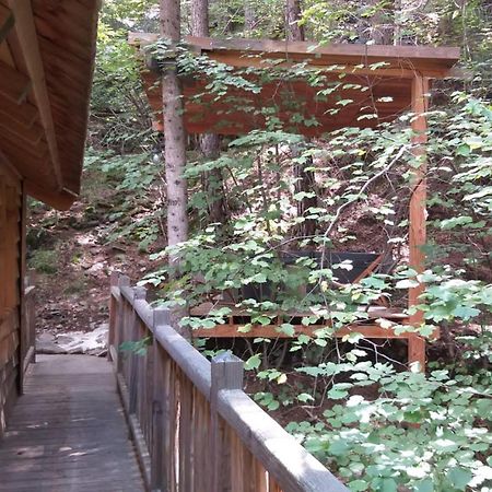 Les Cabanes Des Pins Sylvestres Saint-Martin-Vesubie Luaran gambar