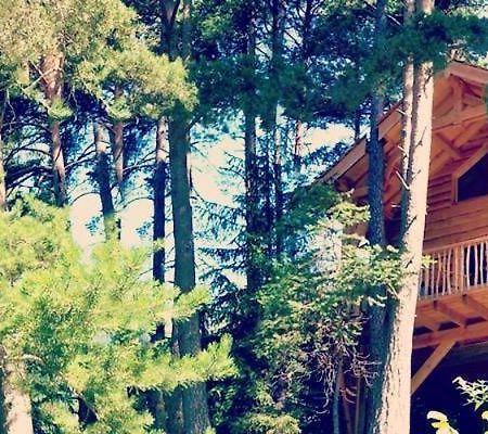 Les Cabanes Des Pins Sylvestres Saint-Martin-Vesubie Luaran gambar