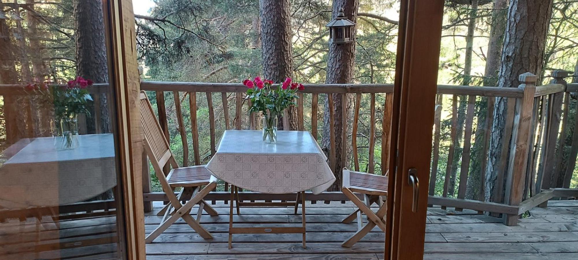 Les Cabanes Des Pins Sylvestres Saint-Martin-Vesubie Luaran gambar