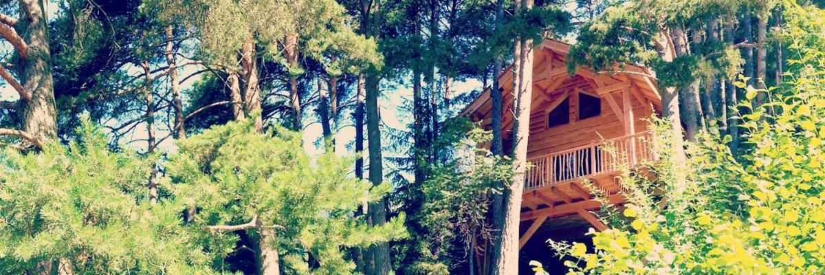 Les Cabanes Des Pins Sylvestres Saint-Martin-Vesubie Luaran gambar