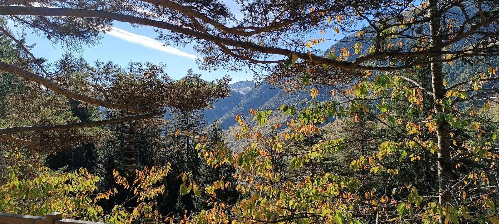 Les Cabanes Des Pins Sylvestres Saint-Martin-Vesubie Luaran gambar